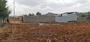 1⁄4 Plot for Sale in Kipkorgot Misoi in Eldoret - thumbnail 2
