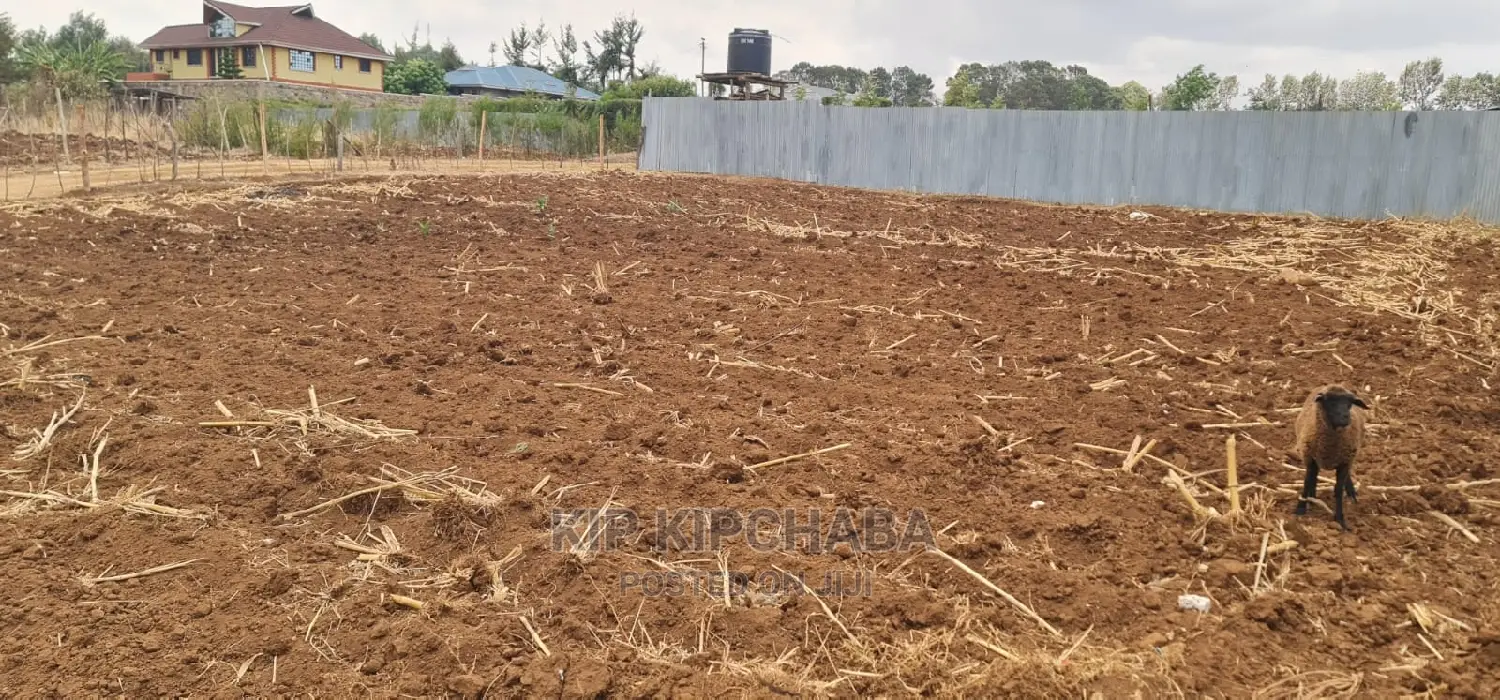 1⁄4 Plot for Sale in Kipkorgot Misoi in Eldoret