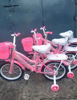 Girl Bike 2 to 4yrs