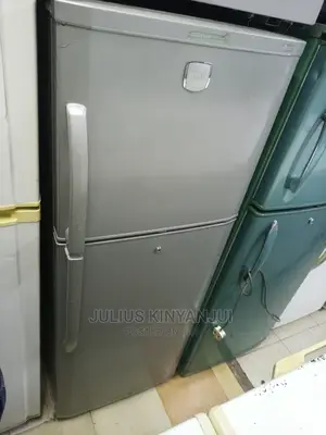Double Door Fridge