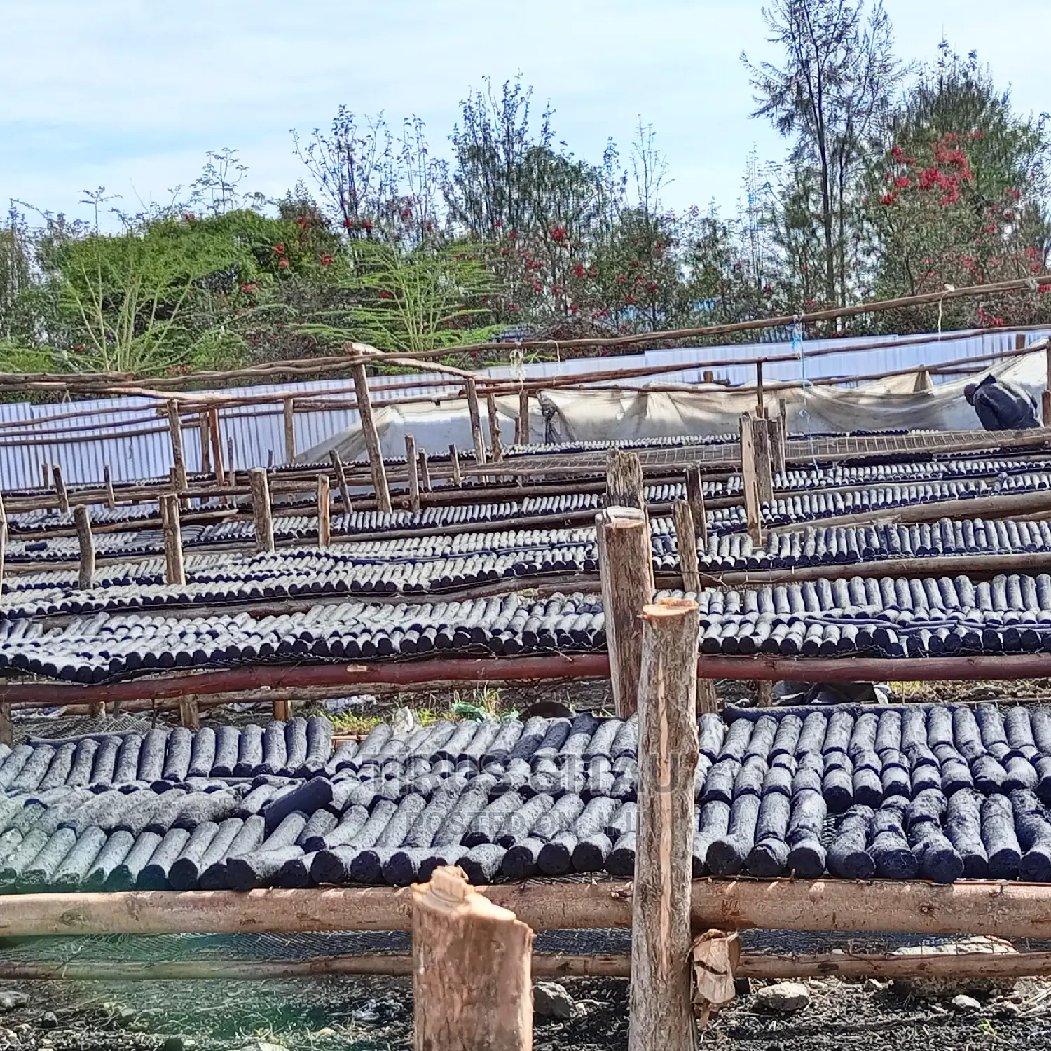 Briquettes