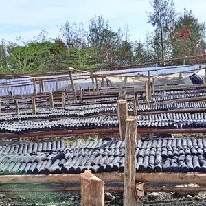 Briquettes