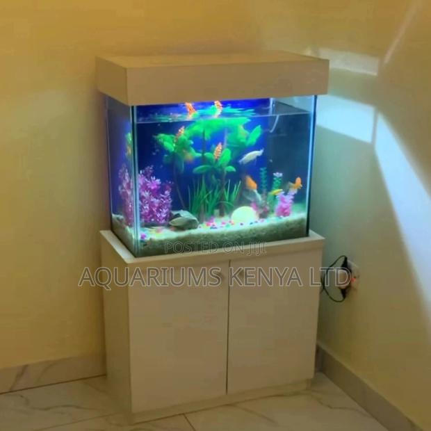 Petite Aquariums for Your Living Spaces - main view