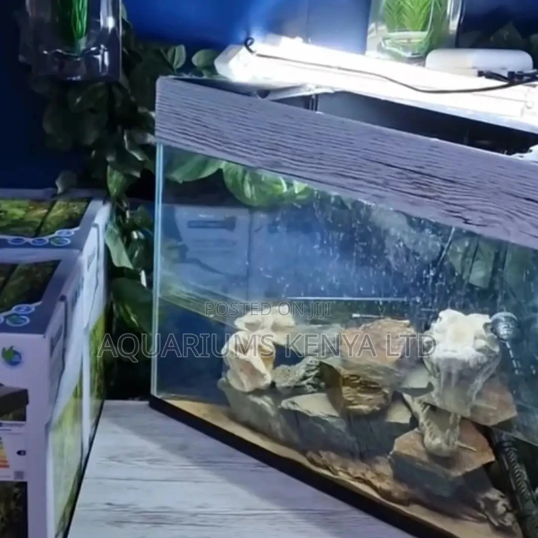 Aquarium Cleaning Services 