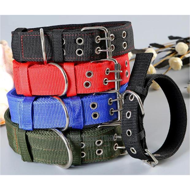 Reliable Dog Collars - main view