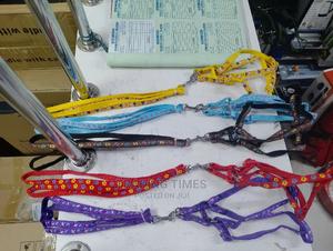 Chiwawa/ Puppy Leash - thumbnail 2