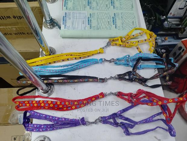 Chiwawa/ Puppy Leash - main view