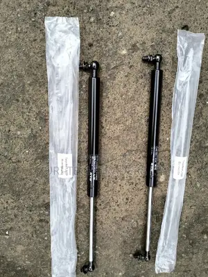 FJ100 Bonnet Shocks