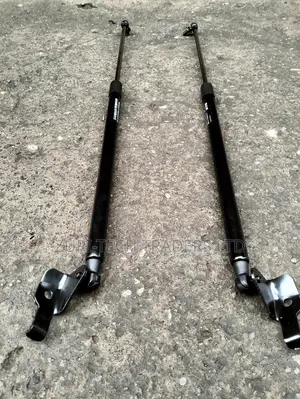Lc200 (2020)Boot Shocks
