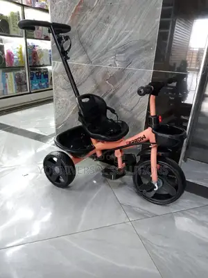 Kids Tricycle With Handle (Orange )
