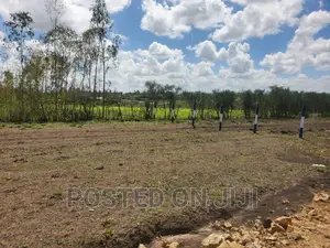 Lipa Mdogo Mdogo Kamulu Plots. ^EM