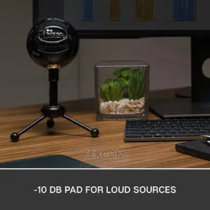 Blue Snowball Ice USB Condenser Microphone
