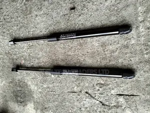 Nissan Teana Bonnet Shocks