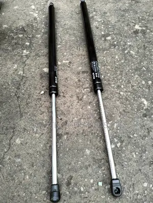Lexus Rx350 Boot Shocks