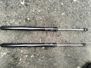 Lexus Rx350 Boot Shocks