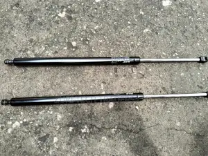 Lexus Rx350 Boot Shocks