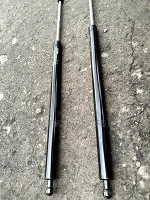 Lexus Rx350 Boot Shocks