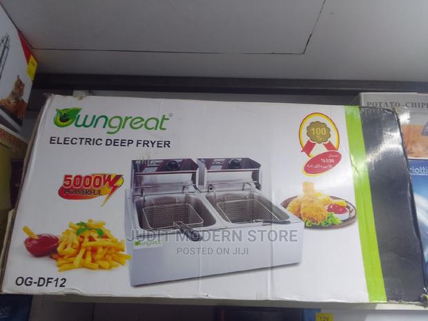 Quality Double Fryer