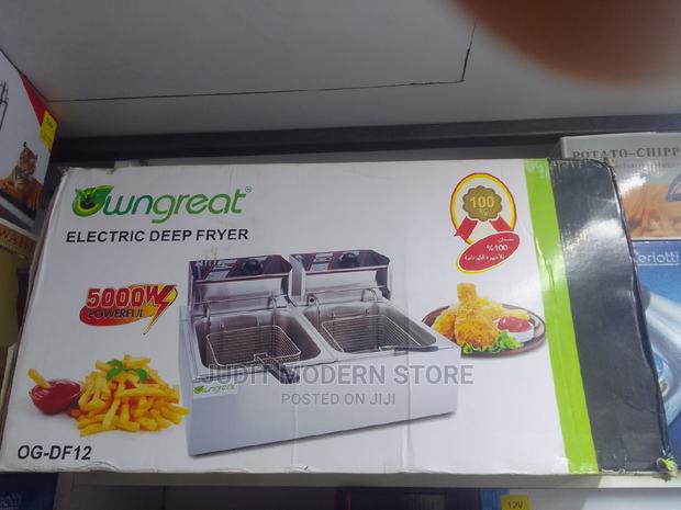 Wngreat Electric Deep Fryer