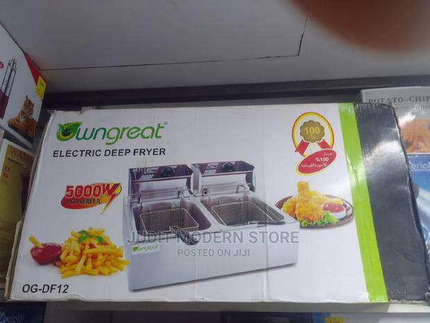 Powerful Electric Double Fryer