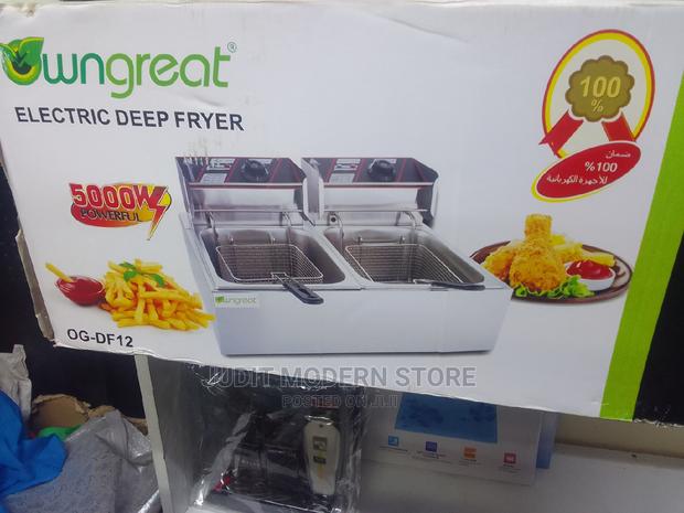 Affordable Electric Deep Fryer