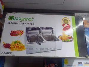 Electric Deep Fryer