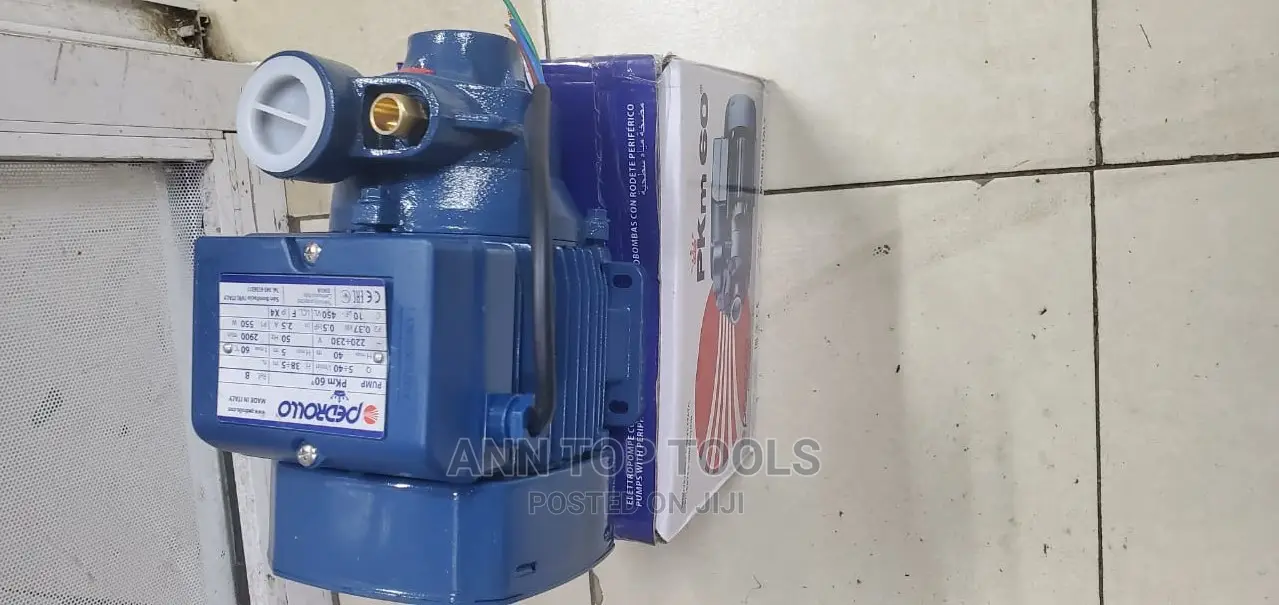 Pedrollo Dayliff Booster Waterpump
