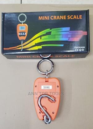Mini Crane Scale 200kg - main view