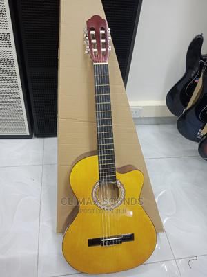 Classical Guitar Full Size - main view