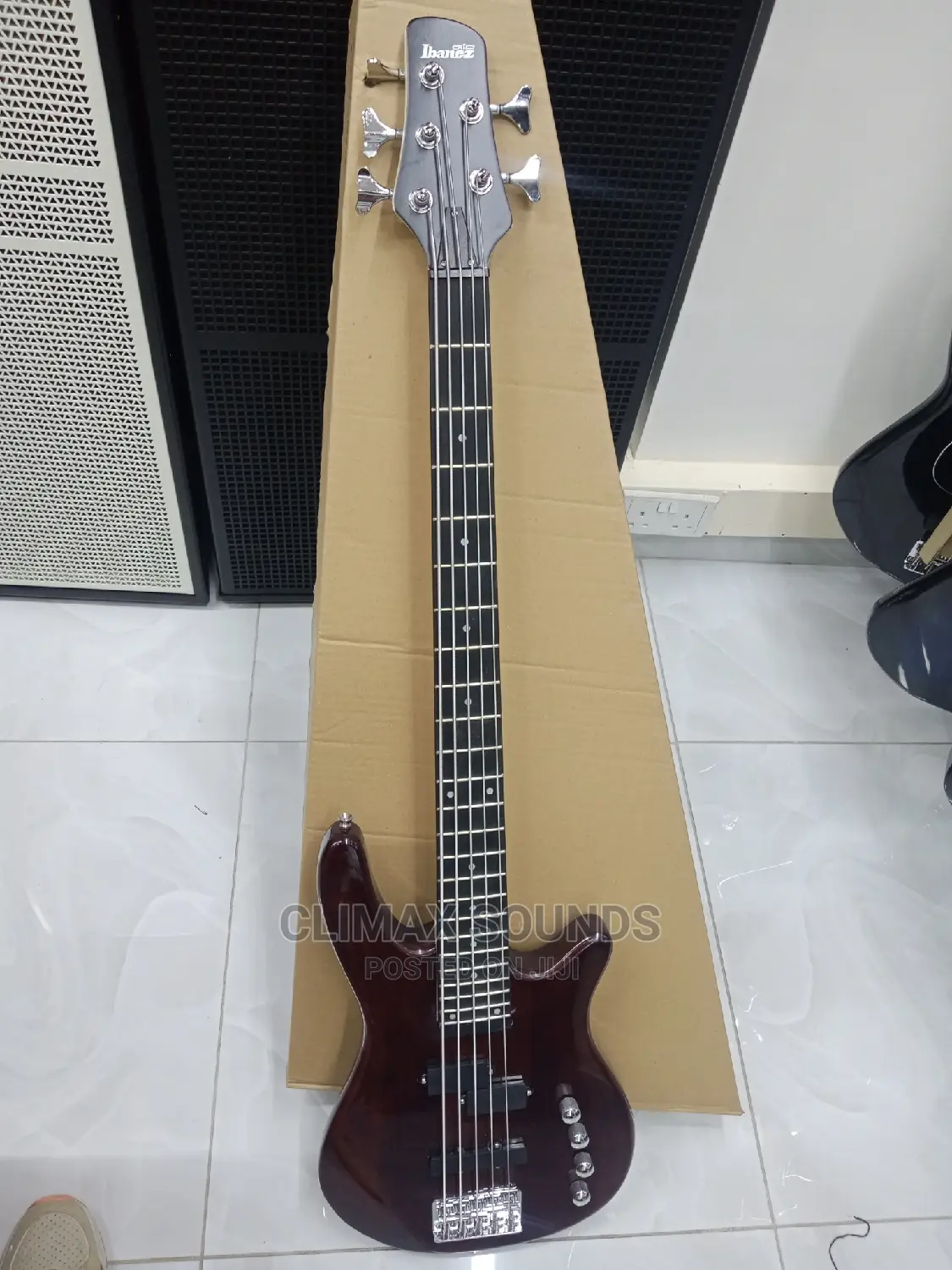 Bass Guitar Electric 5 String Ibanez