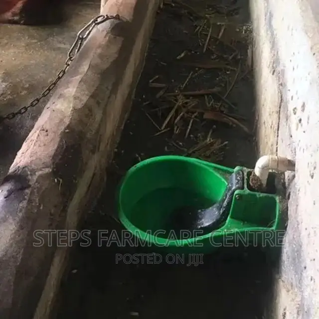 Cattle/Donkey Automatic Waterers