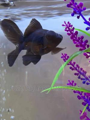 Blackmoor Fish - thumbnail 2
