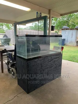 5ft Black Aquarium With High Base