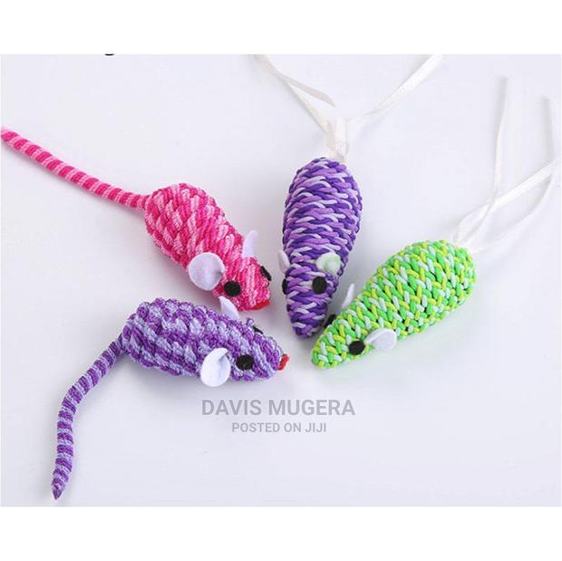 Cat Toy Set - main view