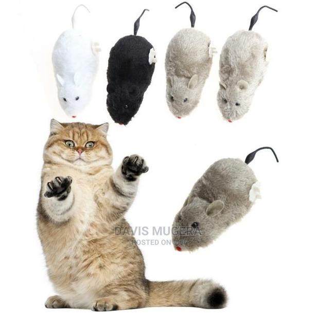 Interactive Cat Toy – Moving Mouse - main view
