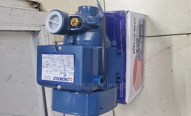 Pedrollo Dayliff Booster Waterpump - main view