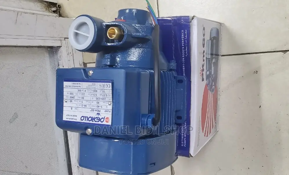 Pedrollo Dayliff Booster Waterpump