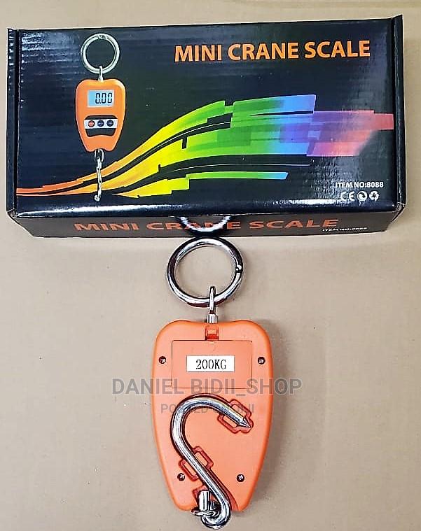 Mini Crane Scale 200kg - main view