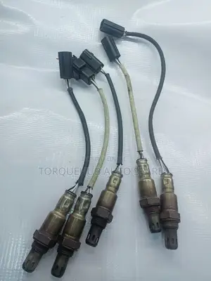 Note E11 Oxygen Sensors