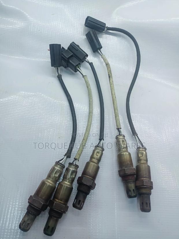 Note E11 Oxygen Sensors