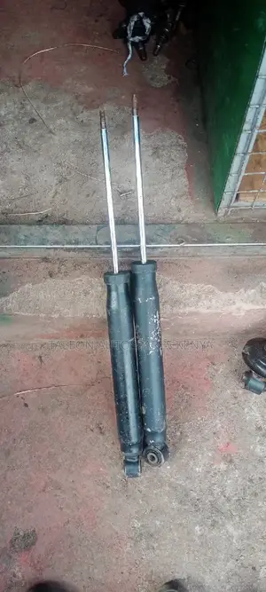 Passat Rear Shocks