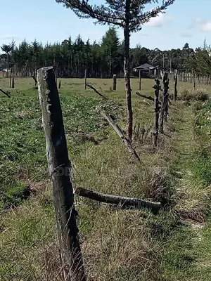 5 Acre on Sale at Kinangop Eginear