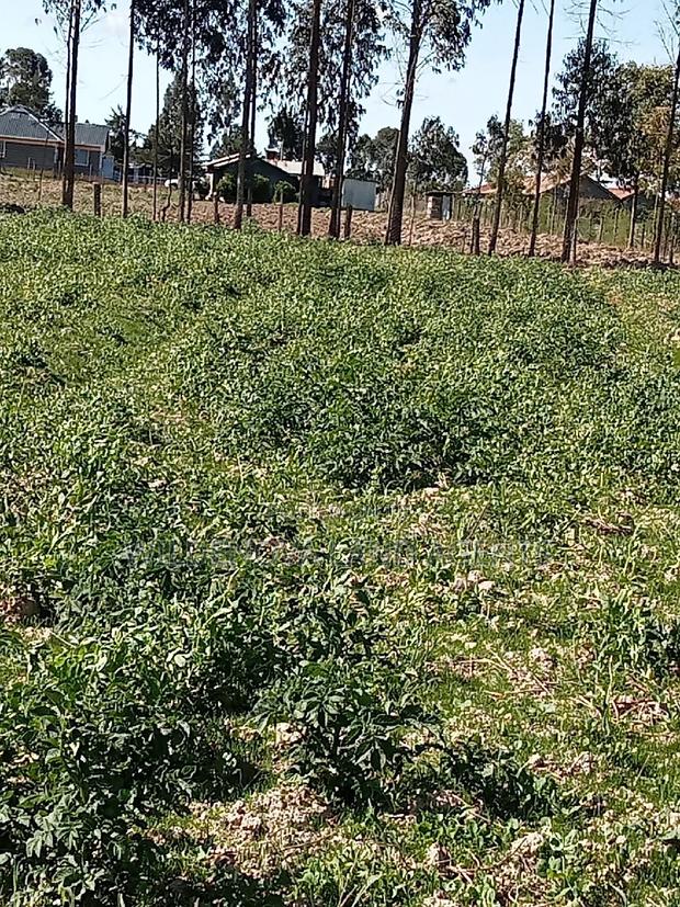 5 Acre on Sale at Kinangop Eginear - thumbnail 4