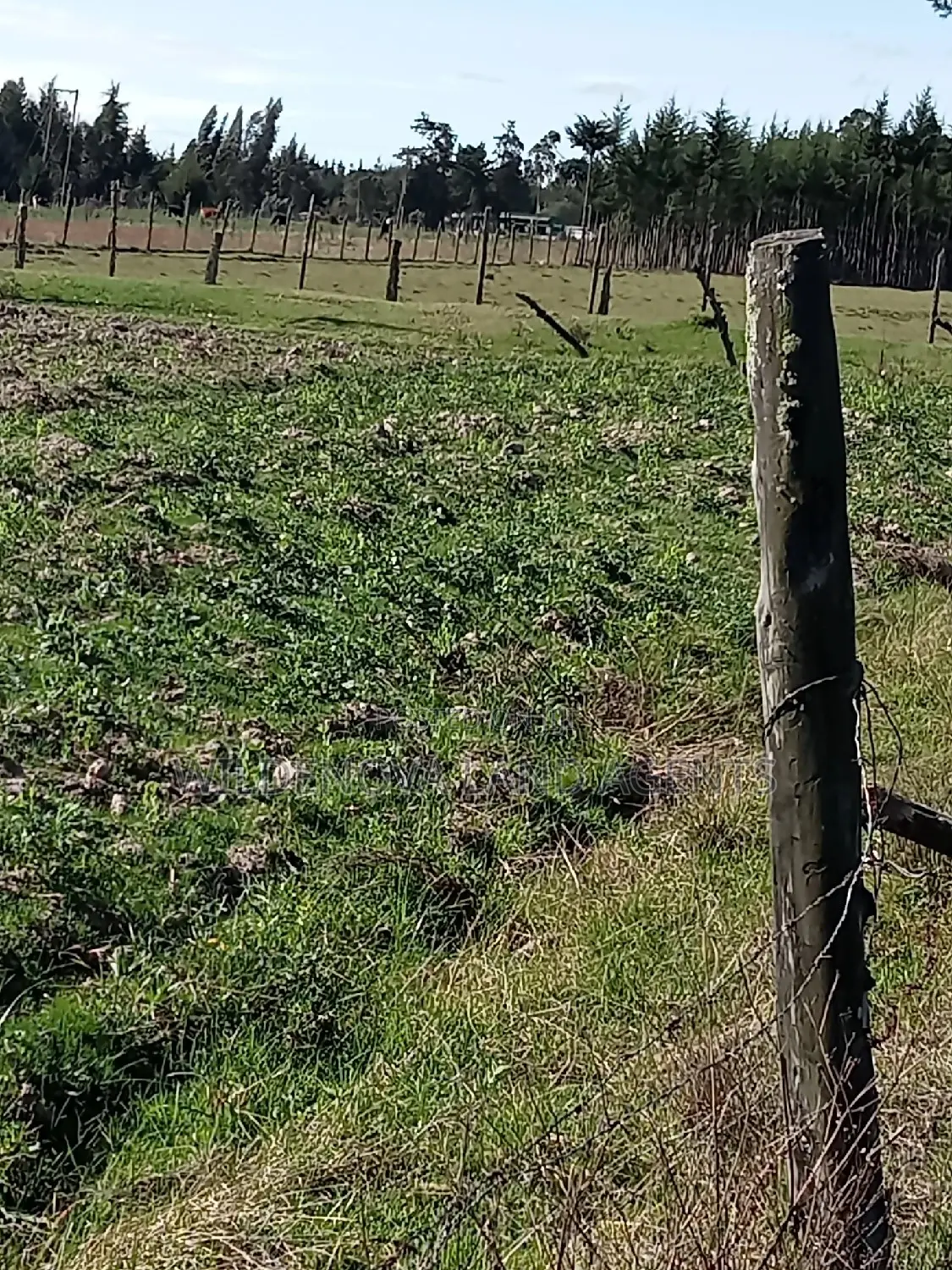 5 Acre on Sale at Kinangop Eginear