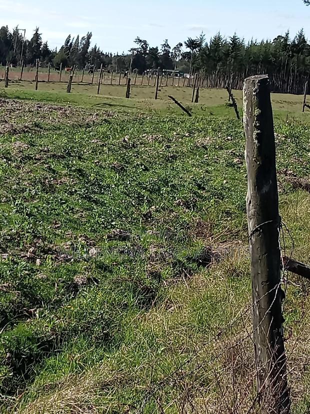 5 Acre on Sale at Kinangop Eginear - thumbnail 7