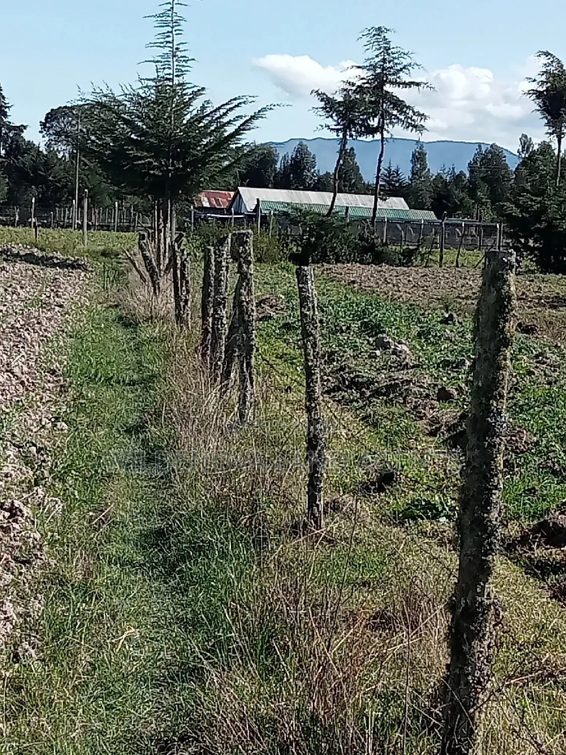 5 Acre on Sale at Kinangop Eginear