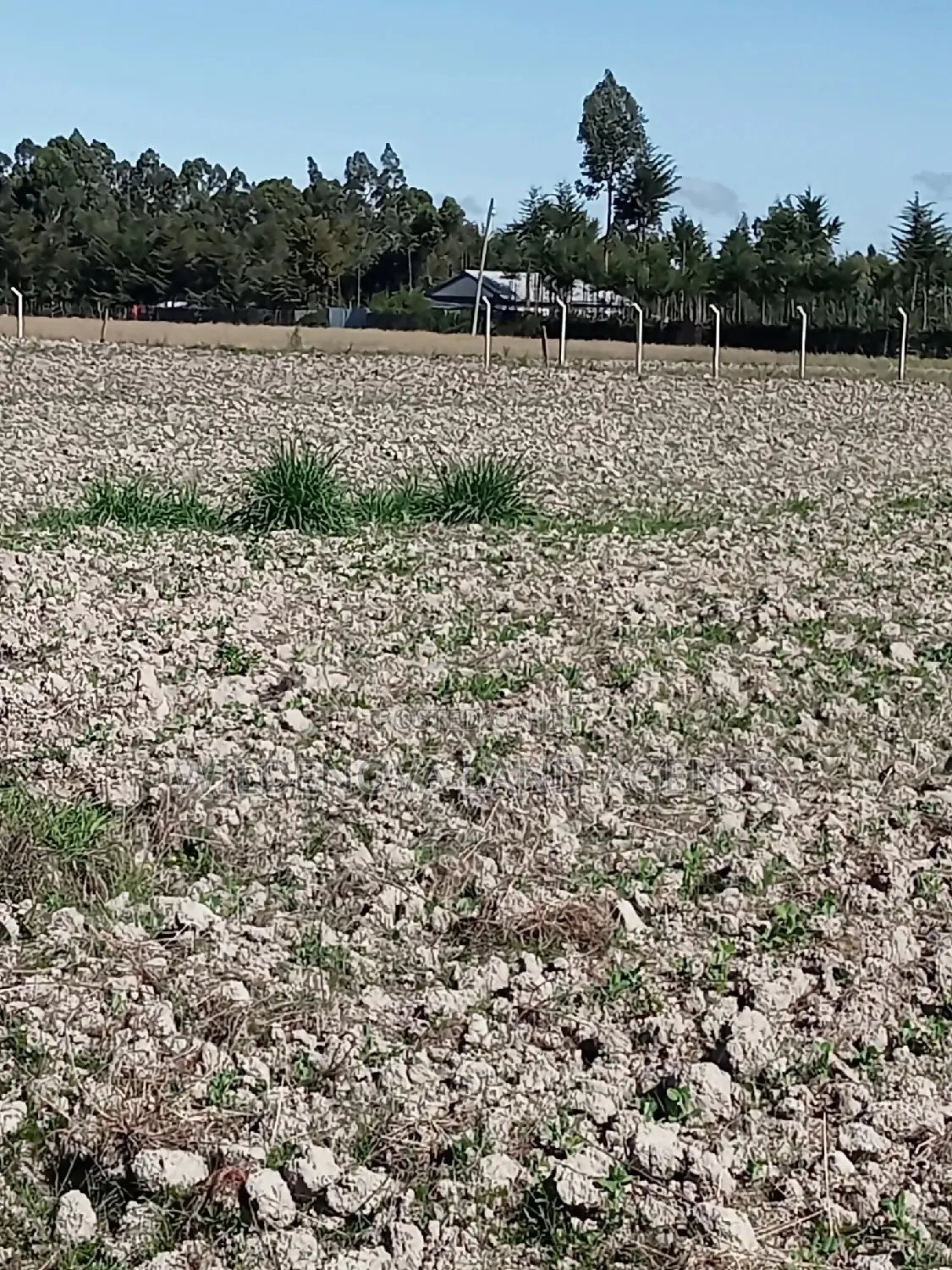 5 Acre on Sale at Kinangop Eginear
