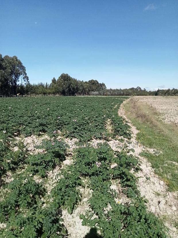 5 Acre on Sale at Kinangop Eginear - thumbnail 13