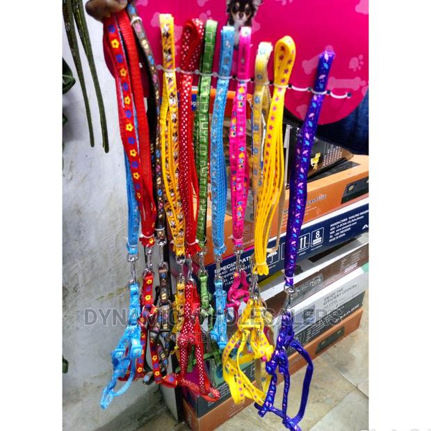 Best Quality Chiwawa Dog Leash With Harness - main view