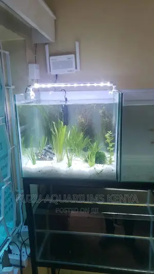 Aquarium With Hangings Light's